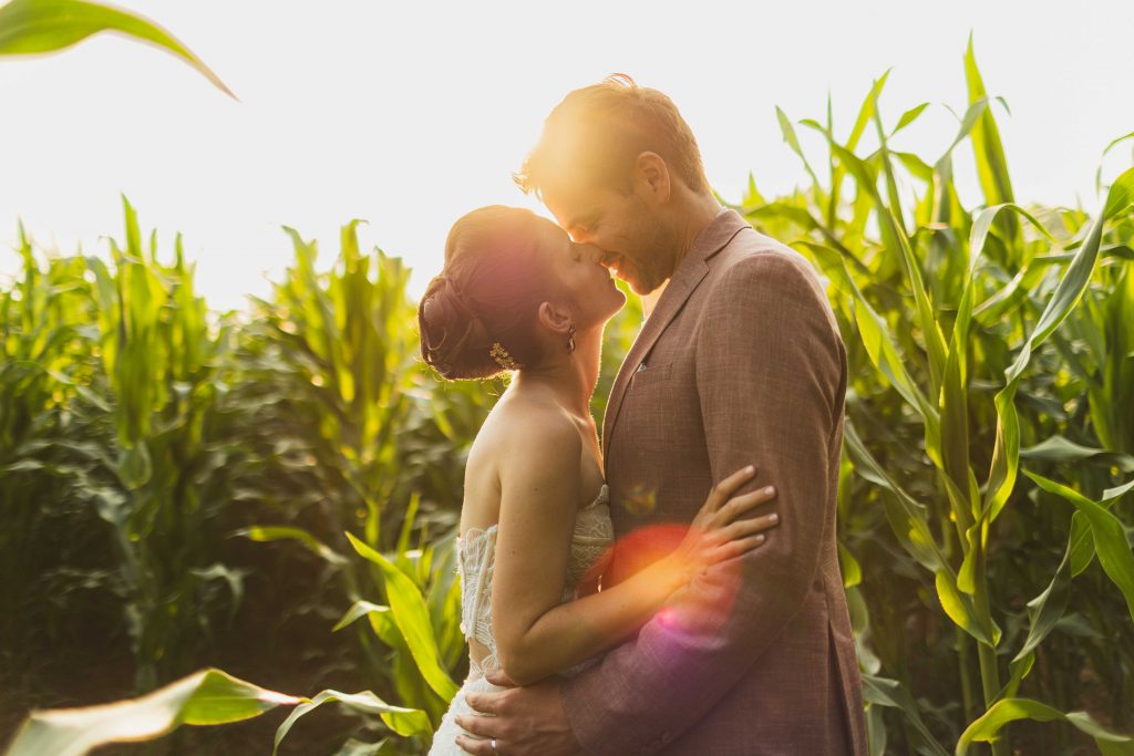 photo de couple qui s'embrassent dans un champ de maïs en golden hour par Aurélien Rossato Photographe